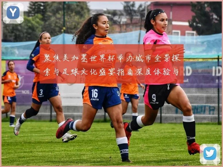 聚焦美加墨世界杯举办城市全景探索与足球文化盛宴指南深度体验与旅行推荐攻略