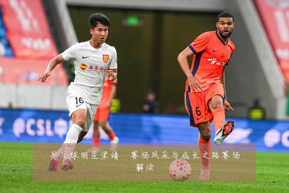 乒乓球明星梁靖崑赛场风采与成长之路赛场解读
