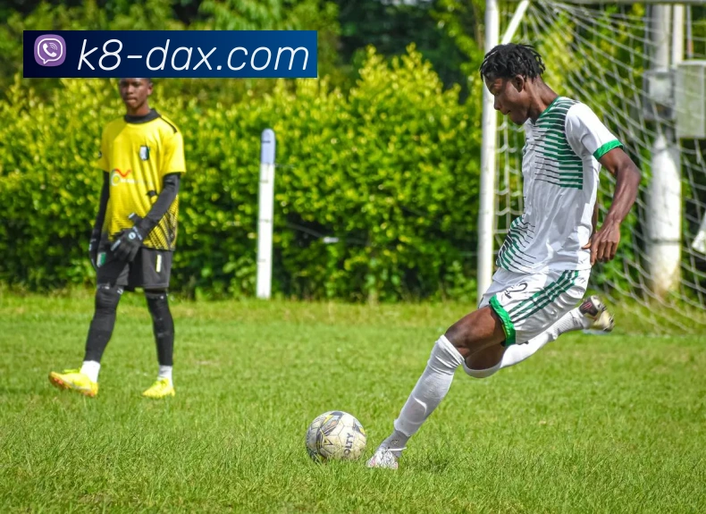 凯发娱乐平台展示图